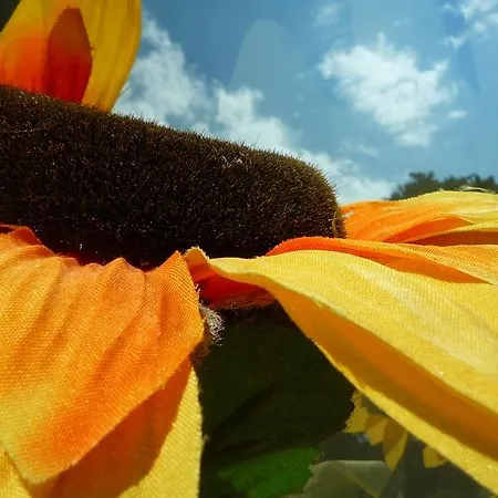 דירה Il Girasole