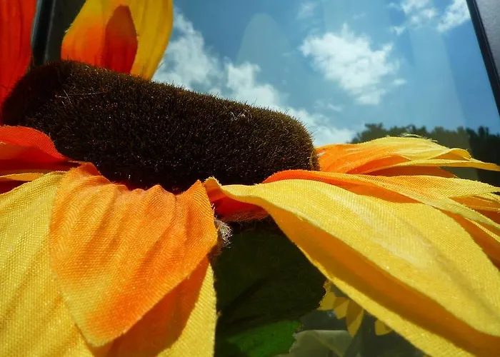 Apartament Il Girasole